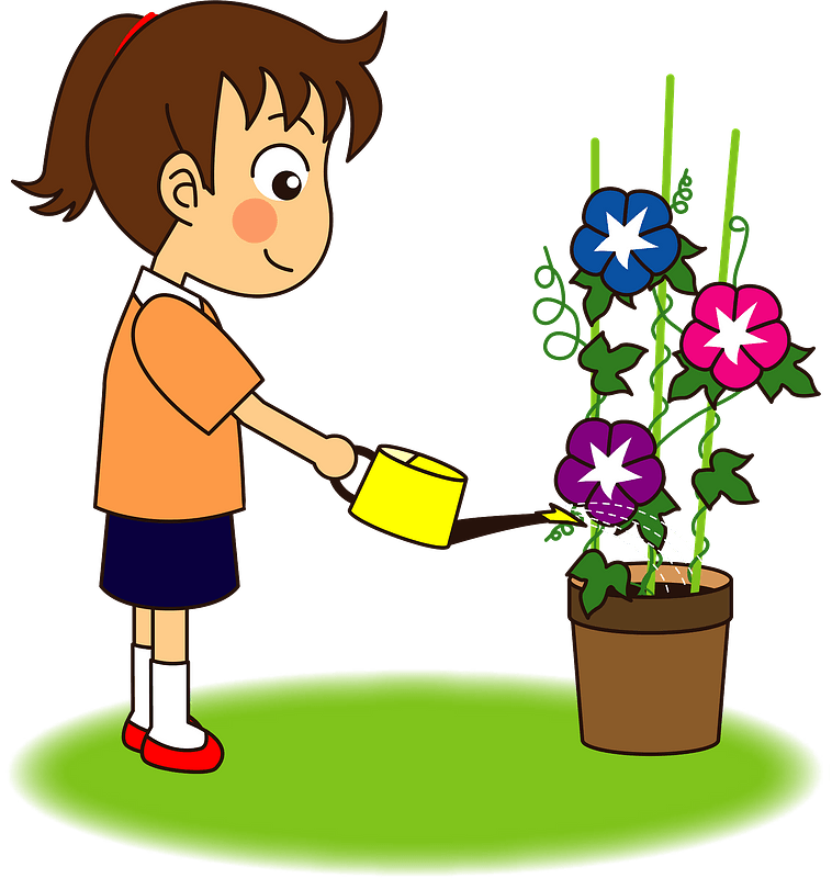 Girl is watering morning glory
