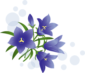 Japanese gentian flower