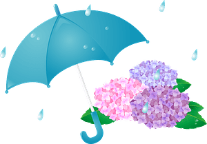 Rain on the hydrangeas and umbrella