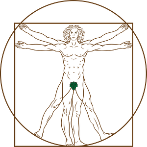 Vitruvian Mann