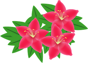Rhododendron flower