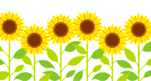 Sunflower Row