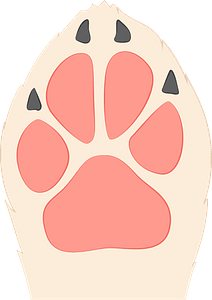 Dog paw