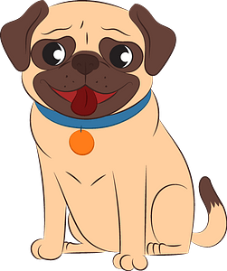 Pug