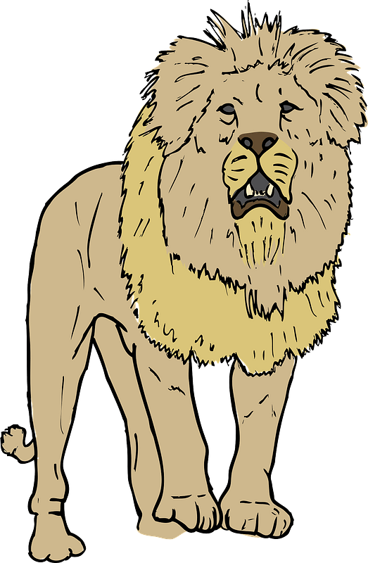 Lion