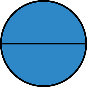 Blue Circle Fractions 2|2