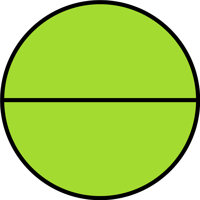 Lime Circle Fractions 2|2