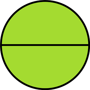 Lime Circle Fractions 2|2