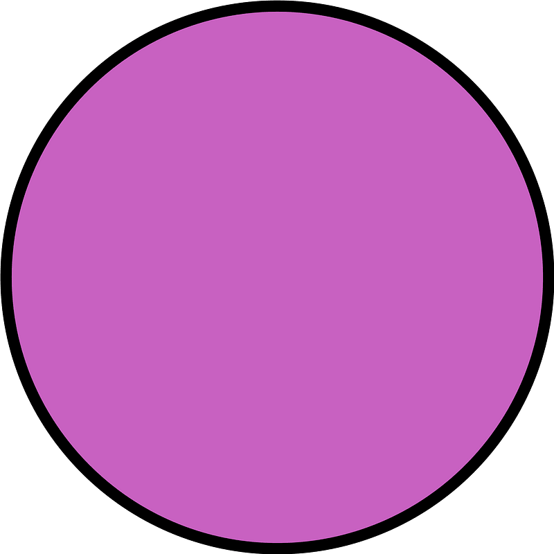 Magenta Circle Fractions 1|1