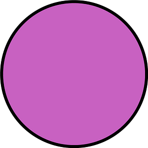 Magenta Circle Fractions 1|1