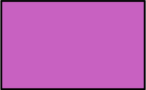 Magenta Rectangle Fractions 1|1