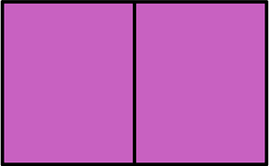 Magenta Rectangle Fractions 2|2