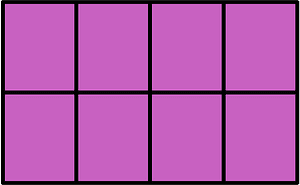 Magenta Rectangle Fractions 8|8