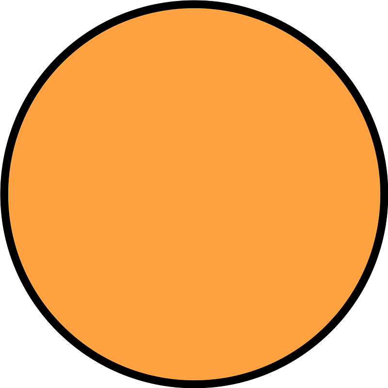 Orange Circle Fractions 1|1