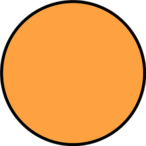 Orange Circle Fractions 1|1