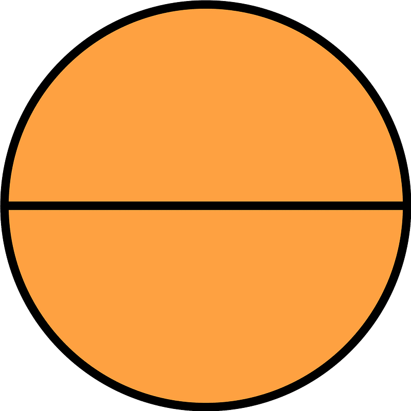 Orange Circle Fractions 2|2