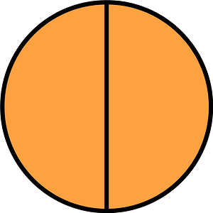 Orange Circle Fractions 2|2