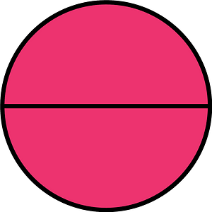 Pink Circle Fractions 2|2