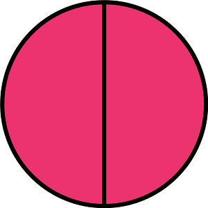 Pink Circle Fractions 2|2