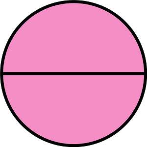 Purple Circle Fractions 2|2