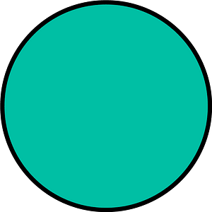 Teal-Green Circle Fractions 1|1
