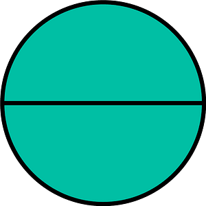 Teal-Green Circle Fractions 2|2