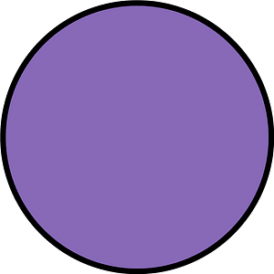 Violet Circle Fractions 1|1