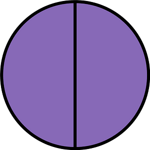 Violet Circle Fractions 2|2