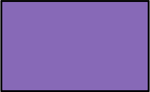 Violet Rectangle Fractions 1|1