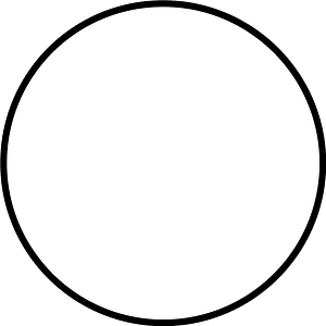 White Circle Fractions 1|1