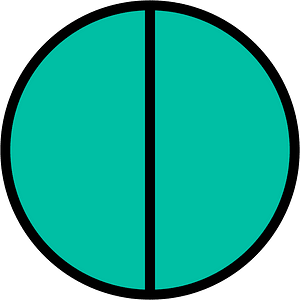 Teal-Green Circles Fractions 2:2