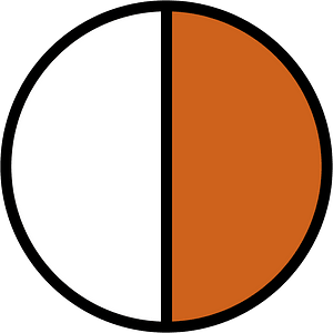 Orange-Brown Circles Fractions 1:2