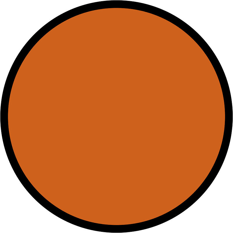 Orange-Brown Circles Fractions 1:1