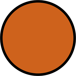 Orange-Brown Circles Fractions 1:1