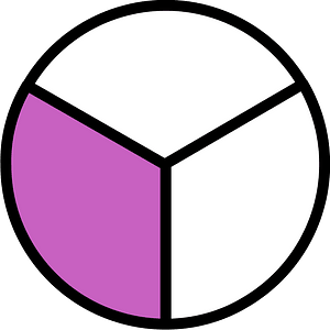 Magenta Circles Fractions 1:3