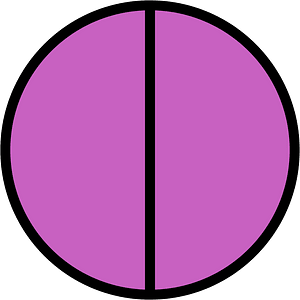 Magenta Circles Fractions 2:2