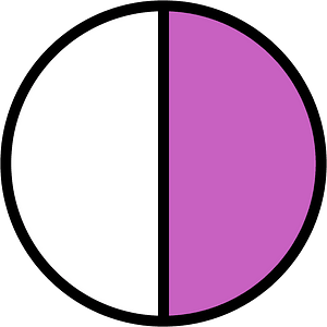 Magenta Circles Fractions 1:2