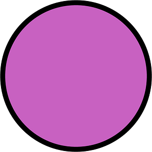 Magenta Circles Fractions 1:1