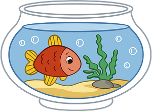水族缸