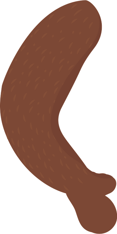 Bobby Bear Arm