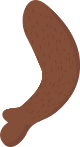 Bobby Bear Arm