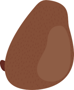 Bobby Bear Body