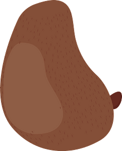 Bobby Bear Body