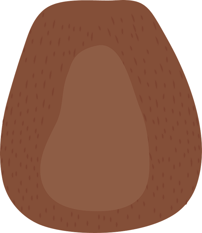 Bobby Bear Body