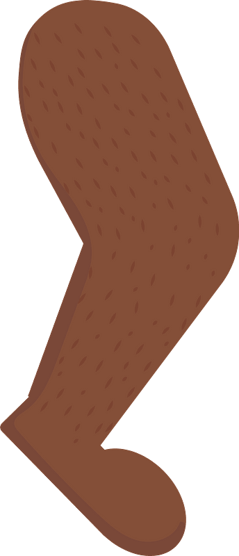 Bobby Bear Leg
