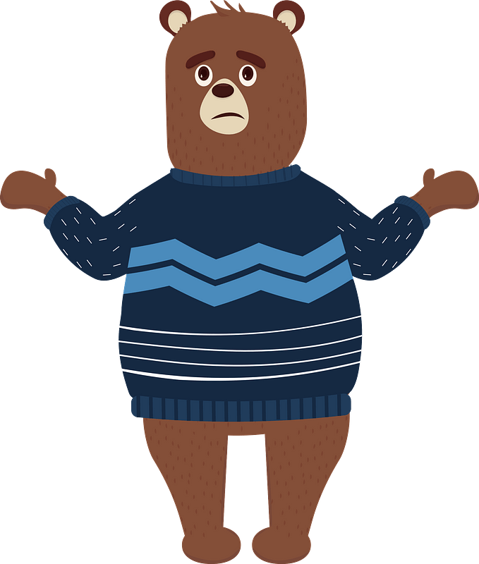 Bear in a sweater