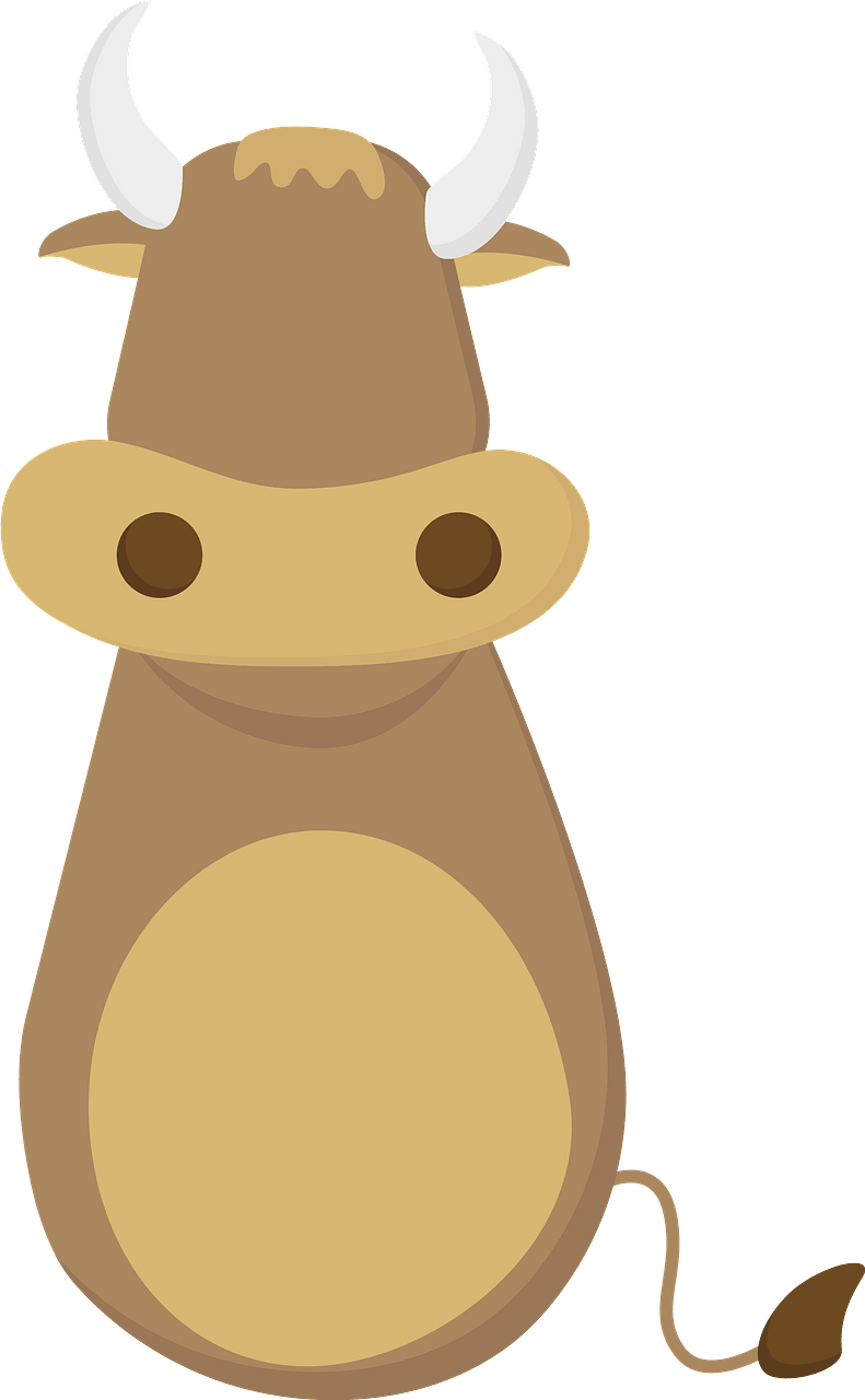 Bull body
