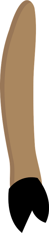 Bull Barney Arm