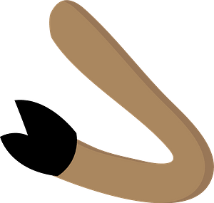 Bull Barney Arm