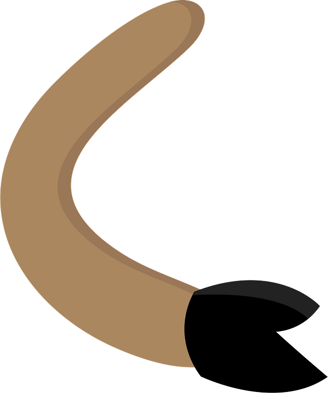 Bull Barney Arm
